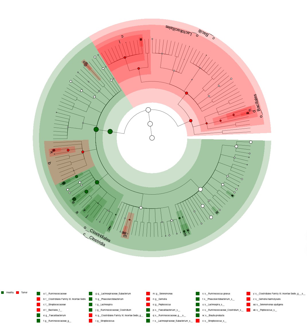 attachments-2023-12-4IzYsXdQ658ce6cb4ffb8.png