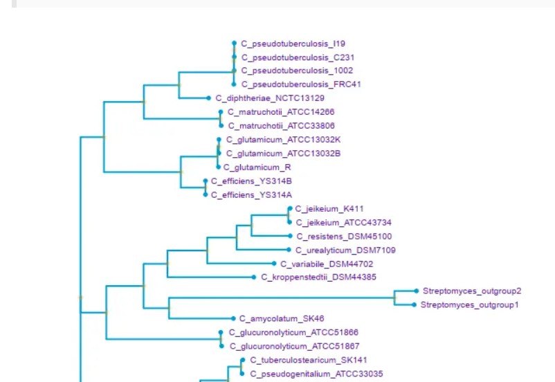 attachments-2024-01-ct0Xfokk659a07f43391f.png