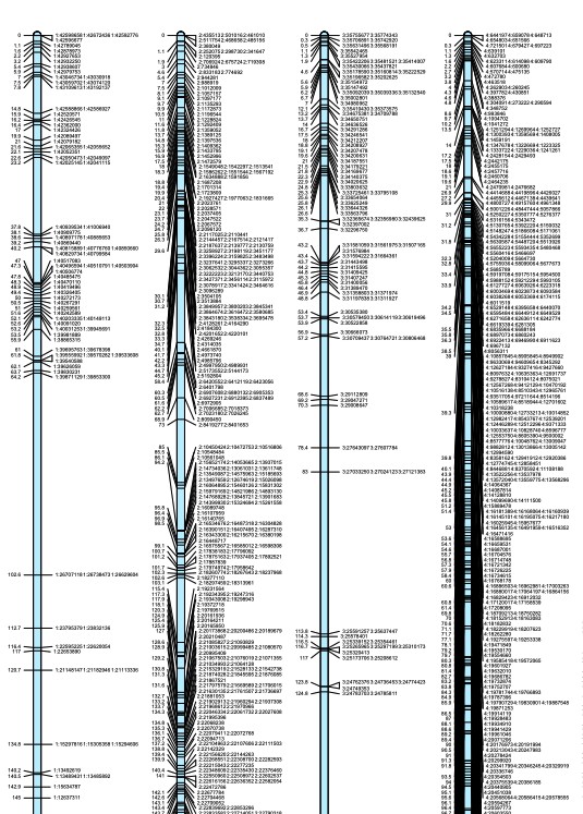 attachments-2024-02-BgGKisLo65d6fe8c49805.png