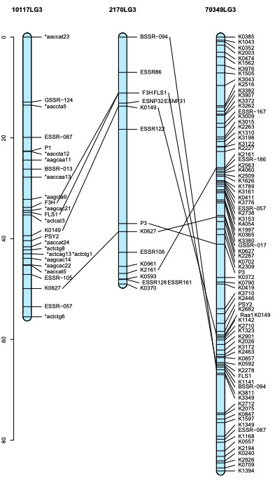 attachments-2024-02-JbDC2Vll65d6fe65ec264.png