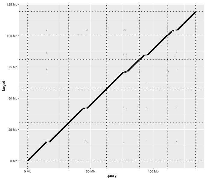 attachments-2024-03-0oOJUen065f151a581559.png