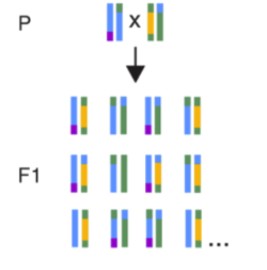 attachments-2024-03-UF6czv7B65f2cbc0d9ded.png