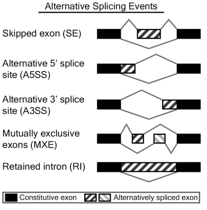 attachments-2024-04-FcoXPZCZ660a2b293843a.png