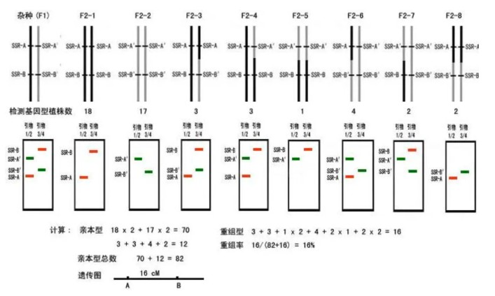 attachments-2024-04-O6xxnVcc6625f505b31f9.png