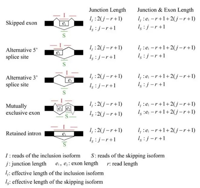 attachments-2024-04-d40acfVn660a2b70cc0d2.png