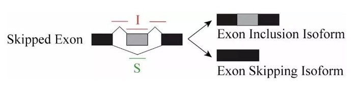 attachments-2024-04-s7Tp4rZd660a2b3e52e6d.png