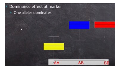 attachments-2024-06-pe2ZXtbi665d1f661b8d0.png