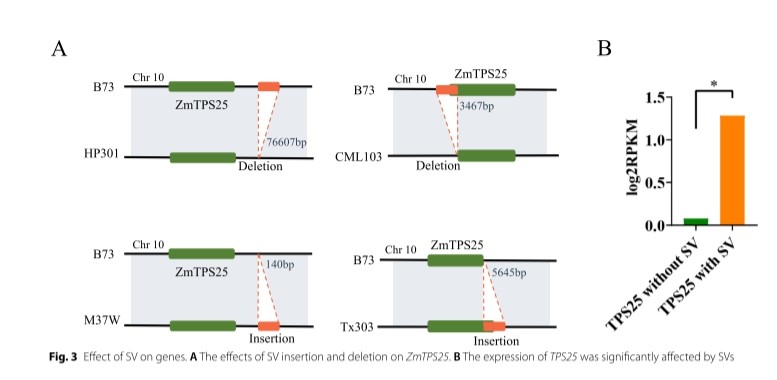 attachments-2024-09-ubCwJsnU66f3c9dc39b2d.png