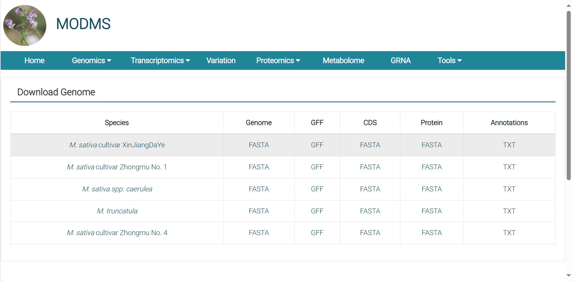 attachments-2025-01-3F5de6oX678f7dc8ae438.png