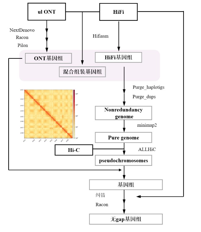 attachments-2025-05-0YB6BEoD68397a068e465.png