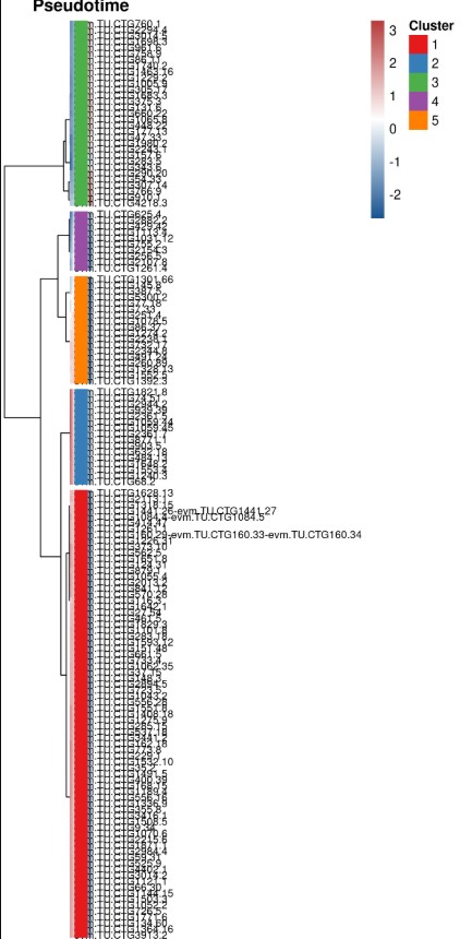 attachments-2025-05-7X7dS7EF68244cbc52a49.png