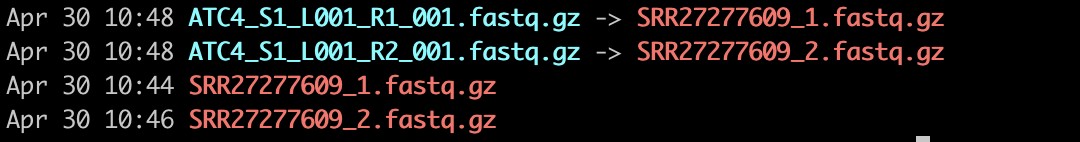 attachments-2025-05-iP2Jg5QY681aee7282d42.png