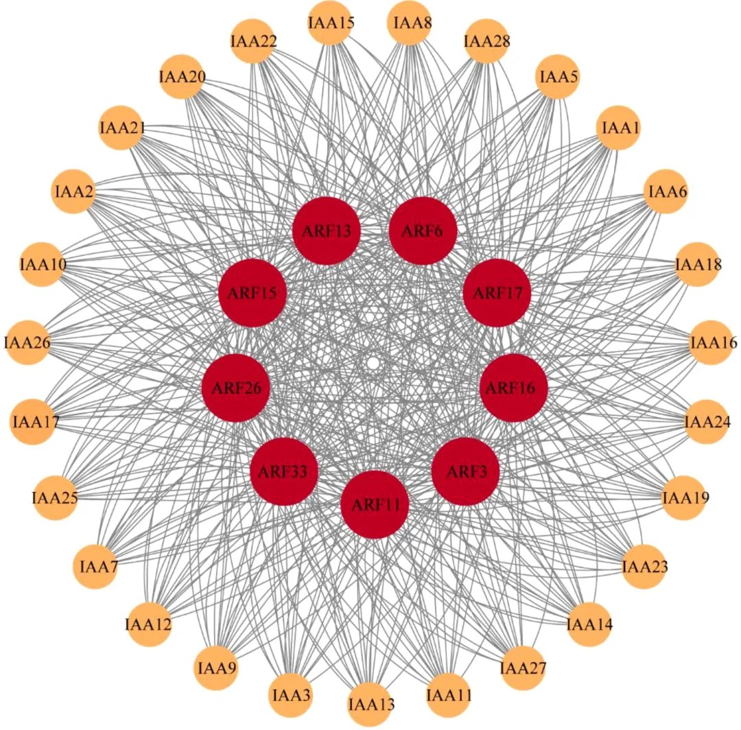 attachments-2025-05-pFkgCEKQ6837cb0558b76.png