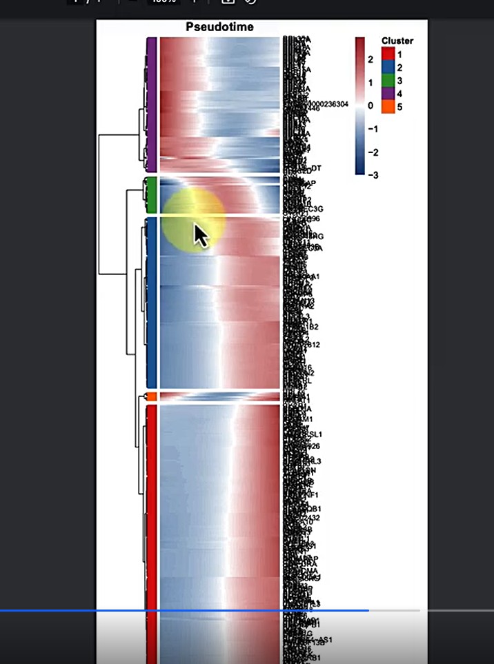 attachments-2025-05-wbvxziYw68244cf8d8b39.png
