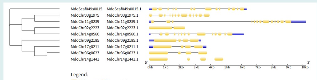 attachments-2025-06-8iNtRAhP683d63ee03709.png