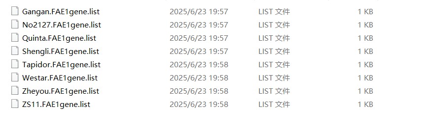 attachments-2025-06-9hRaz8Cy6859460066d9c.png