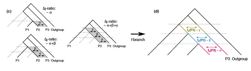 attachments-2025-06-JDmtziO768623f00e57c2.png