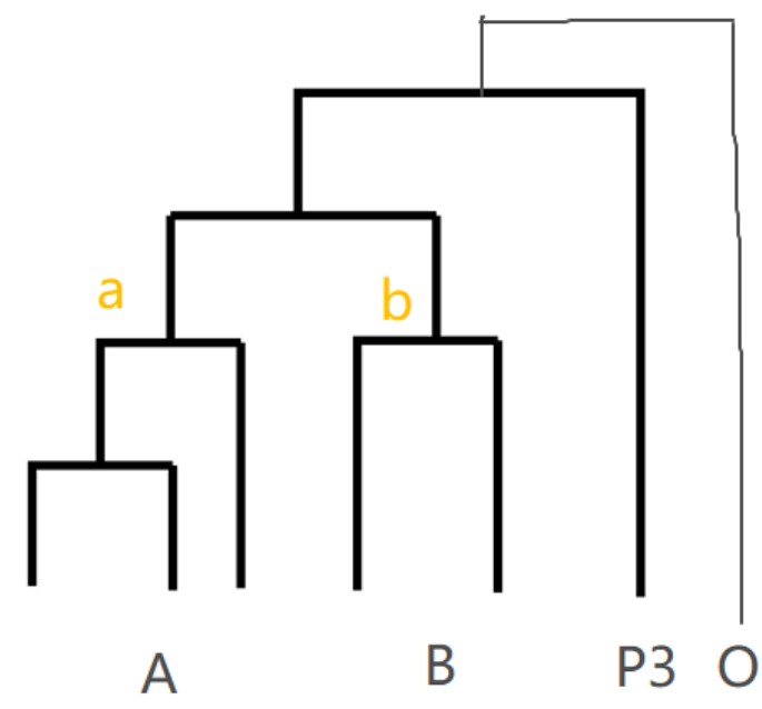 attachments-2025-06-WnkCCAZx68623f49f0339.png