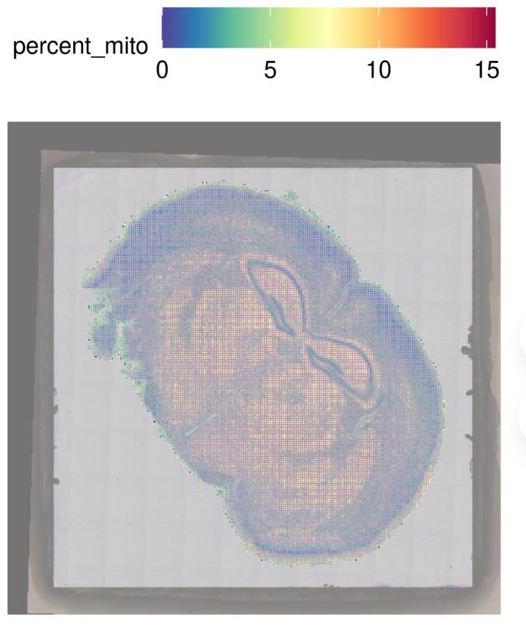 attachments-2025-06-fsu7yzU7685a52b486062.png