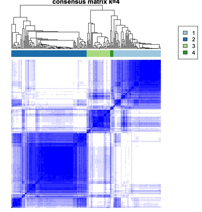 attachments-2025-07-84NWVdTZ688086ce88204.png