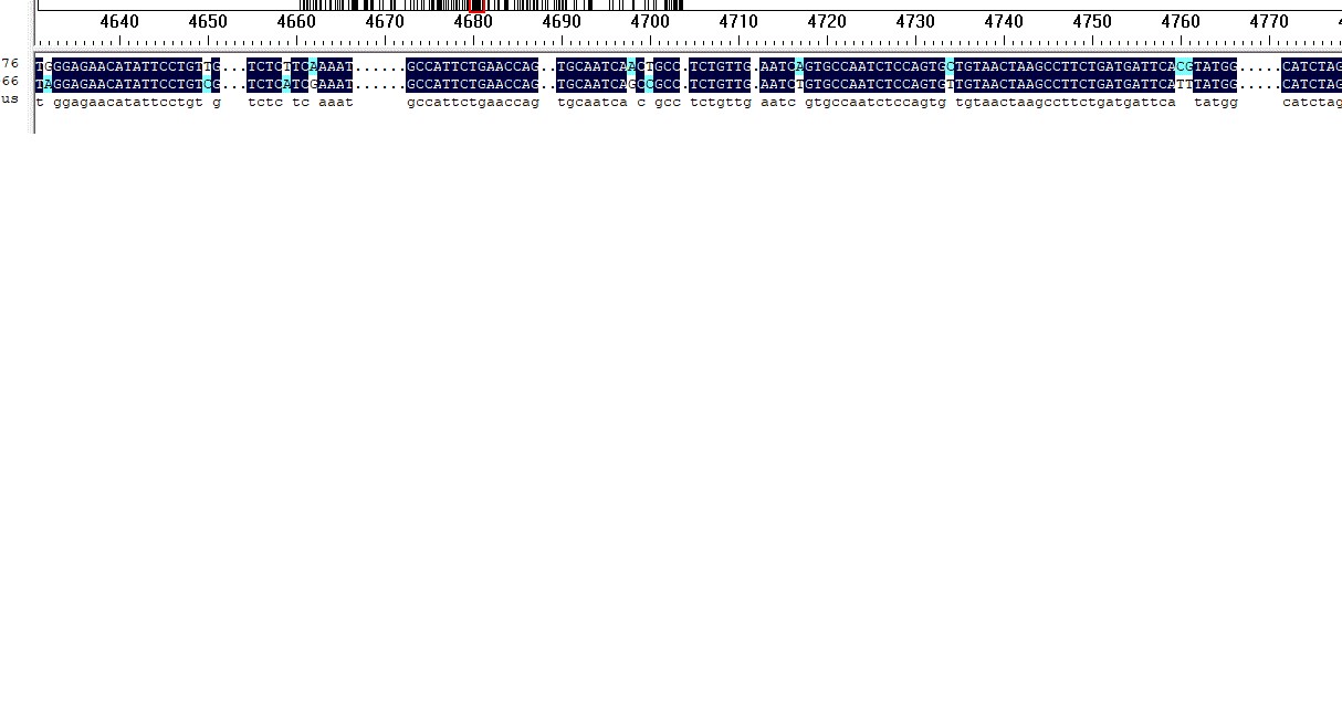 attachments-2025-07-CVxlmLZO68686d1c6dcf4.gif