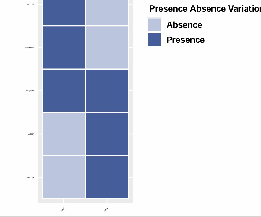 attachments-2025-07-TNz6qAWh686b72a6e35de.png