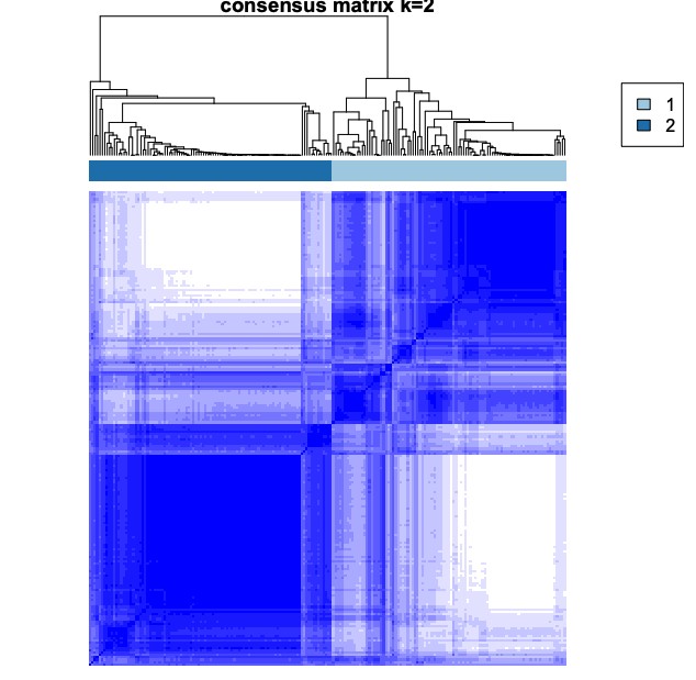 attachments-2025-07-UDp2RW6g688086ada8dd8.png