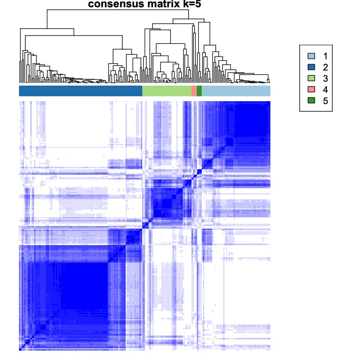 attachments-2025-07-cw26nEcQ688086da5a74b.png