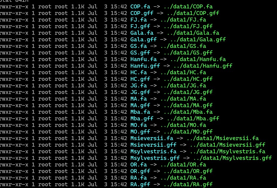 attachments-2025-07-ojVRTq54686cbd3f2a2e2.png