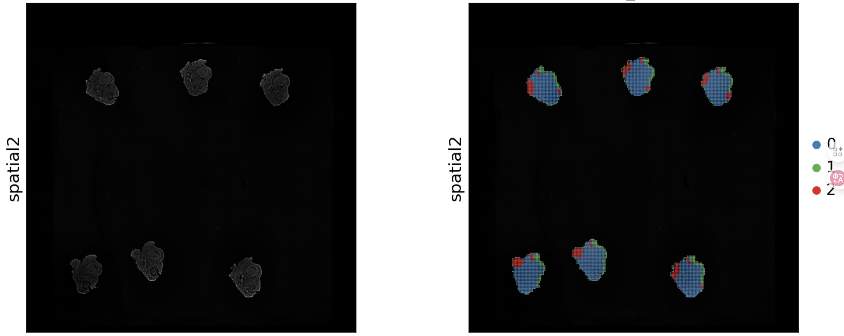 attachments-2025-07-otUpbfz668888fdc18d96.png