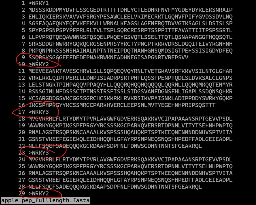 attachments-2025-08-5T9pN6Vg6890809fcd735.png