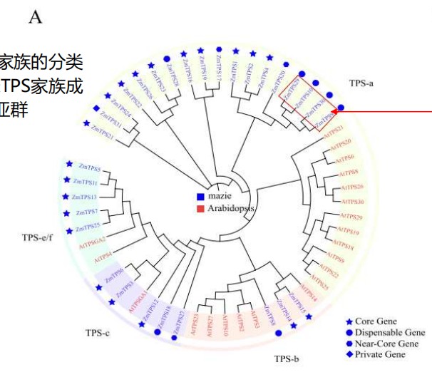 attachments-2025-08-RThVWPJc689214f5cb401.png