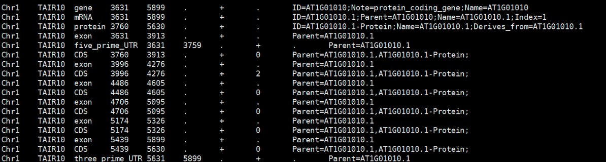attachments-2025-09-0jZex2fw68bfda03ea0da.png