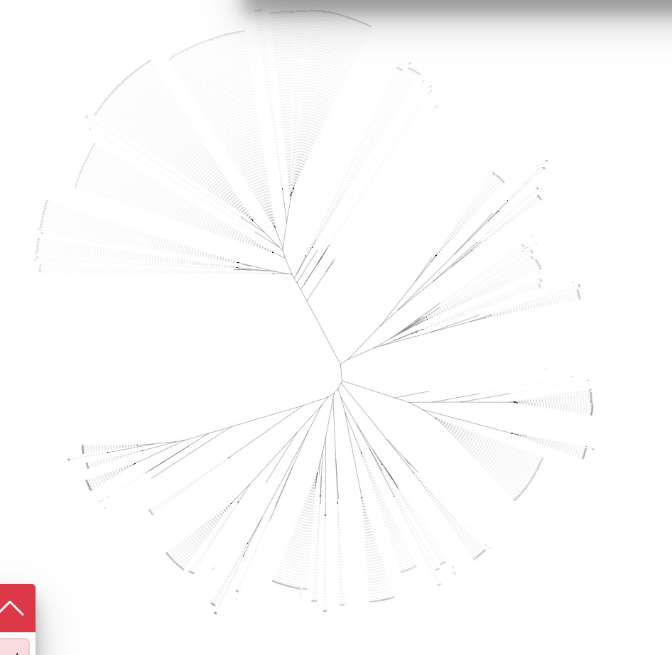 attachments-2025-09-4nOFXnQI68c9792f5c72a.png