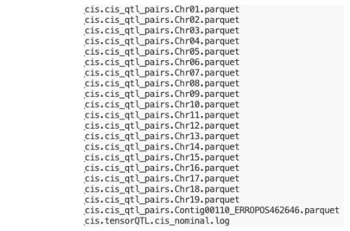 attachments-2025-09-9qgkYTqK68b7ed1b9e974.png