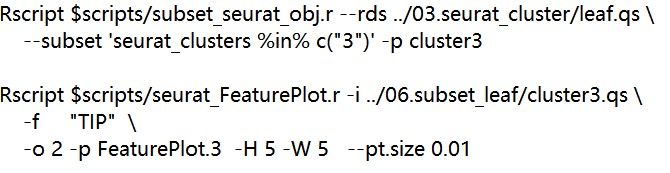 attachments-2025-09-H9pe1HW868d3cb7dcf963.png