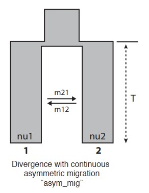 attachments-2025-09-PMdZX95b68ccfc6526311.PNG
