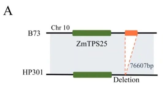 attachments-2025-09-uUP9RYzz68d9352ecb963.png