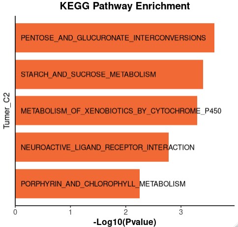 attachments-2025-09-xXqPZapi68d367087a3a3.png