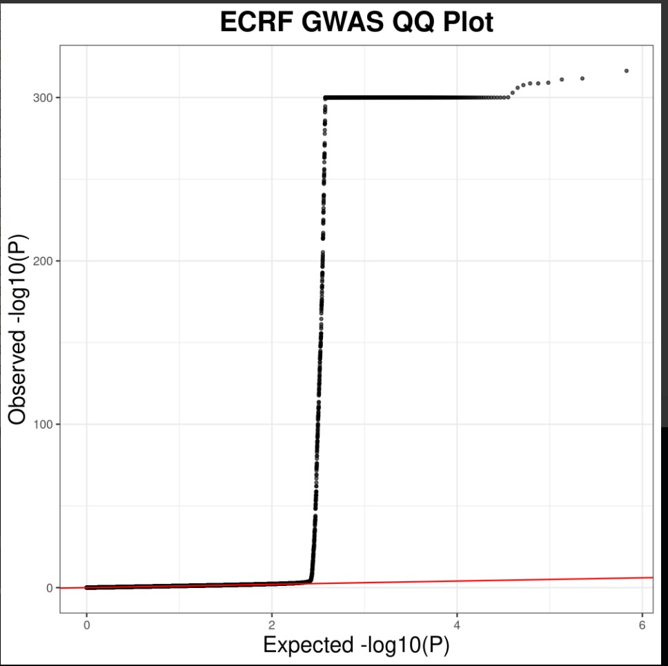 attachments-2026-05-tnalZbPE6a05f1f6bcaa0.png