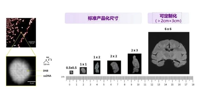 attachments-2026-09-5iPkyYOf6aa0f6728f7de.png