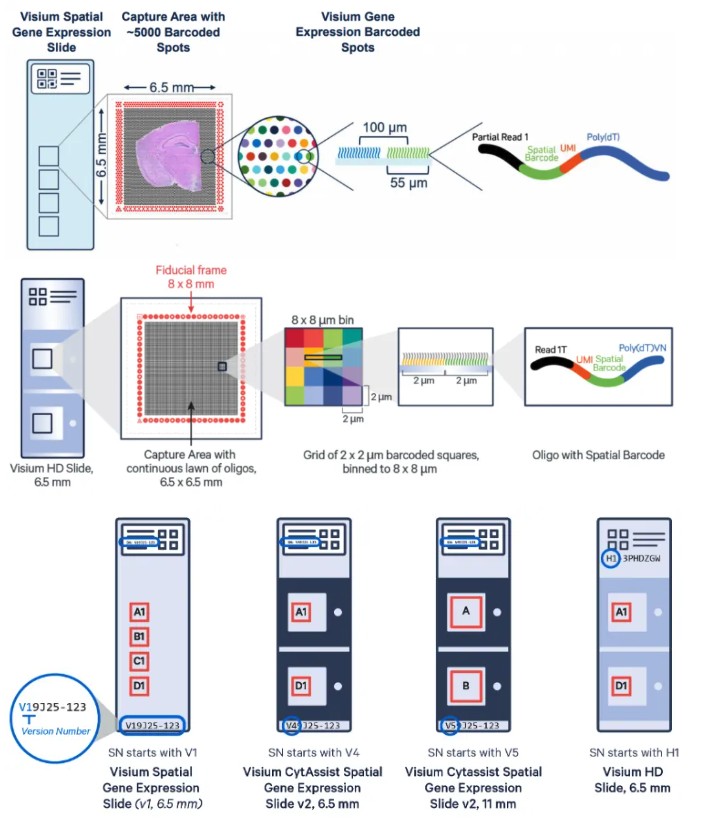 attachments-2026-09-PzjYMURc6aa0f6842fb2f.png