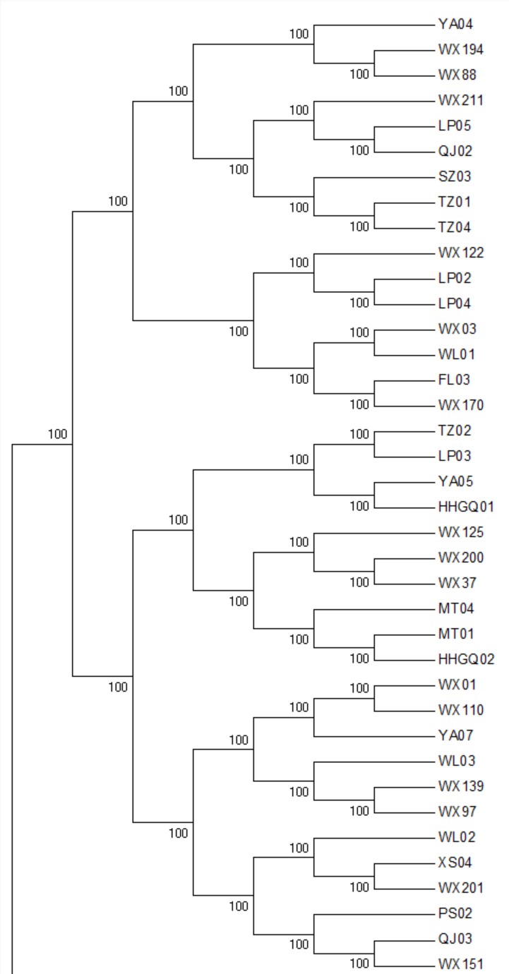 attachments-2026-10-aRdQyIsA6ae170f3d87a8.png